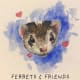 Ferrets and Friends Sanctuary