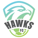 Hawks Fc