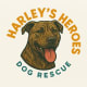 HARLEYS HEROES