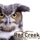 Red Creek Wildlife Center Inc