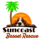 Suncoast Basset Rescue Inc