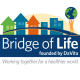 Bridge of Life