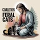 Coalition For Feral Cats Of Lehigh Valley
