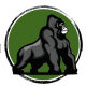 Virunga Valley Academy Foundation Inc