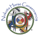 Nokota Horse Conservancy Inc
