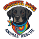 Grateful Dogs Inc.