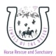Jewels Of The Desert Horse Rescue And Santuary
