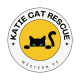Katies Cat Rescue