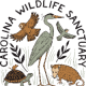 Carolina Wildlife Sanctuary