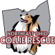 Northeast Ohio Collie Rescue