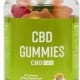 Vital Harvest CBD Gummies