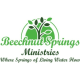 Beechnut Springs Ministries, Ltd