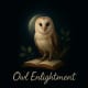 Owl Enlightment CIC
