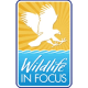 Wildlife in Focus