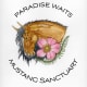 Paradise Waits Mustang Sanctuary
