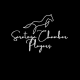 Saratoga Chamber Players Inc