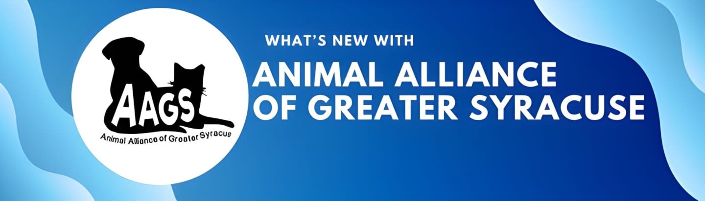 A black silhouette of a dog and cat are on a white circle with "AAGS" in the foreground, set against a blue background with wavy light blue accents and text that reads "WHAT'S NEW WITH ANIMAL ALLIANCE OF GREATER SYRACUSE."