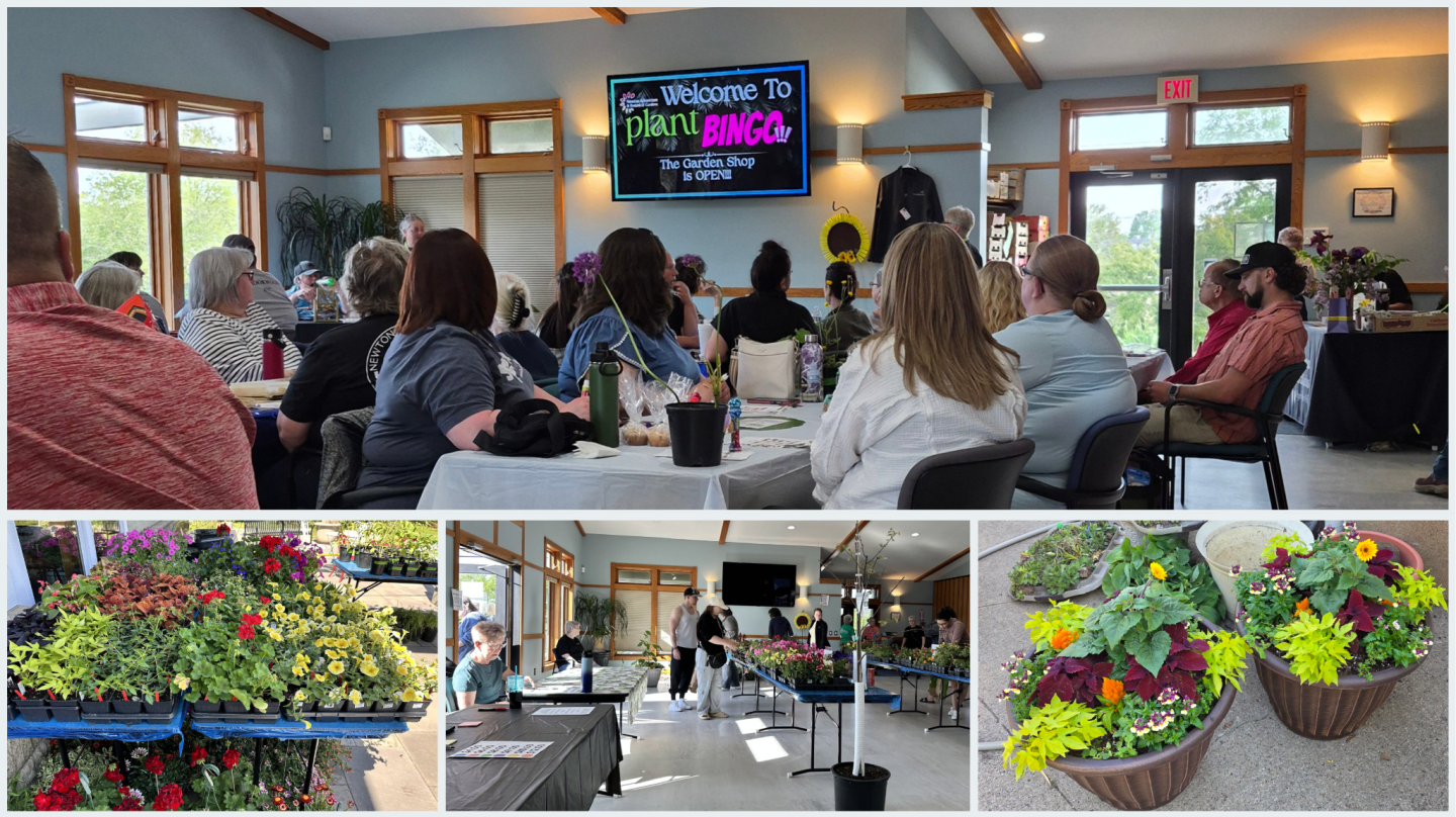 A collage of images shows people attending a "Plant Bingo" event in a room with plants in the foreground and a screen displaying the event title in the background.