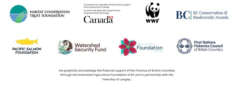 Logos of various organizations are displayed in the foreground, with a text acknowledgment of financial support in the background.