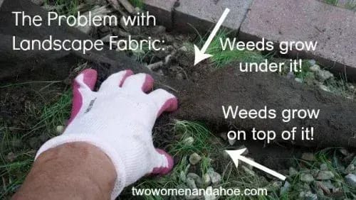 A gloved hand lifts a piece of dark landscape fabric from a gravelly garden bed next to a brick walkway.