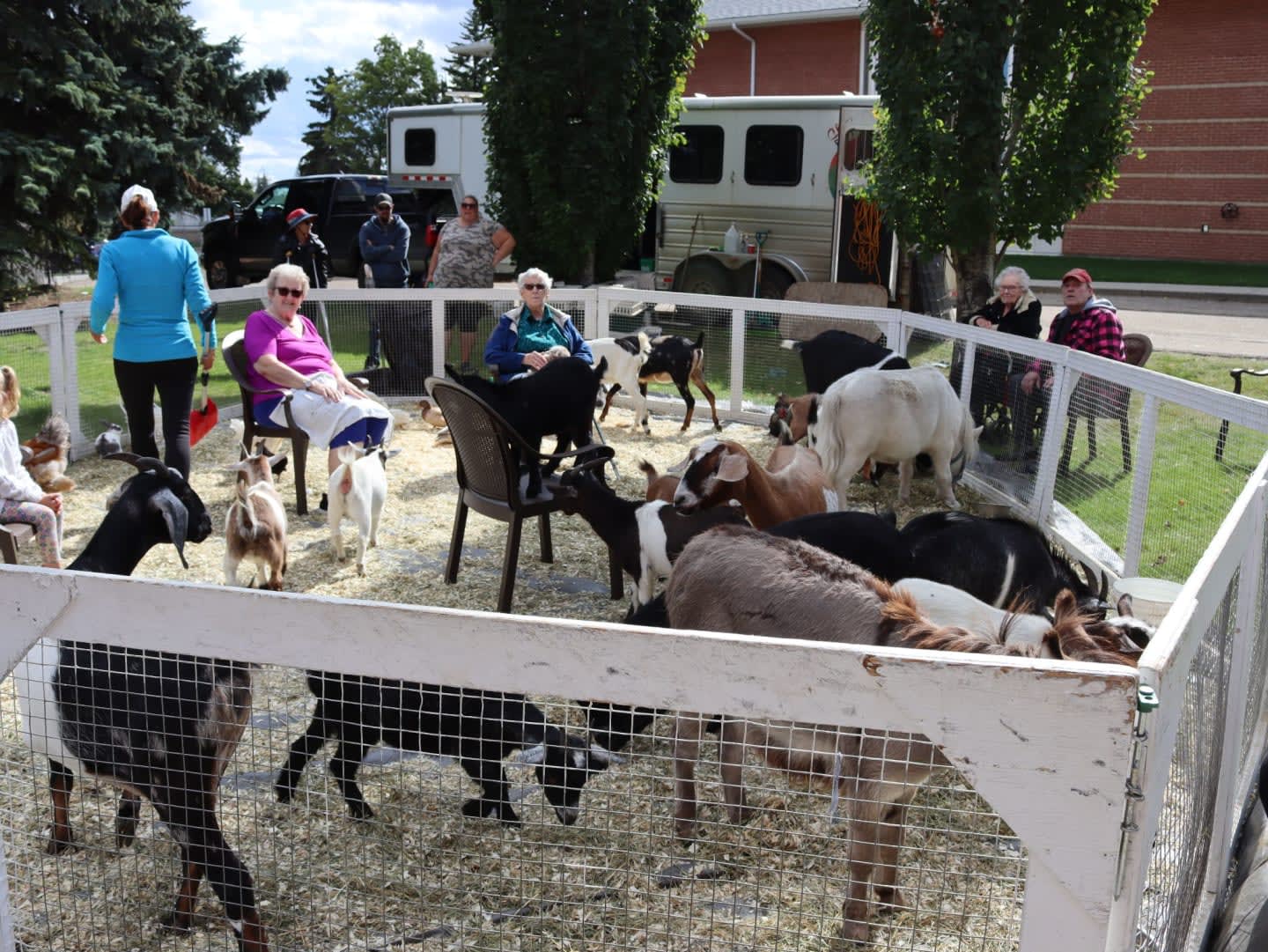Several people interact with a variety of goats in a fenced enclosure, with a white trailer and a brick building in the background.