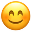 🅿️