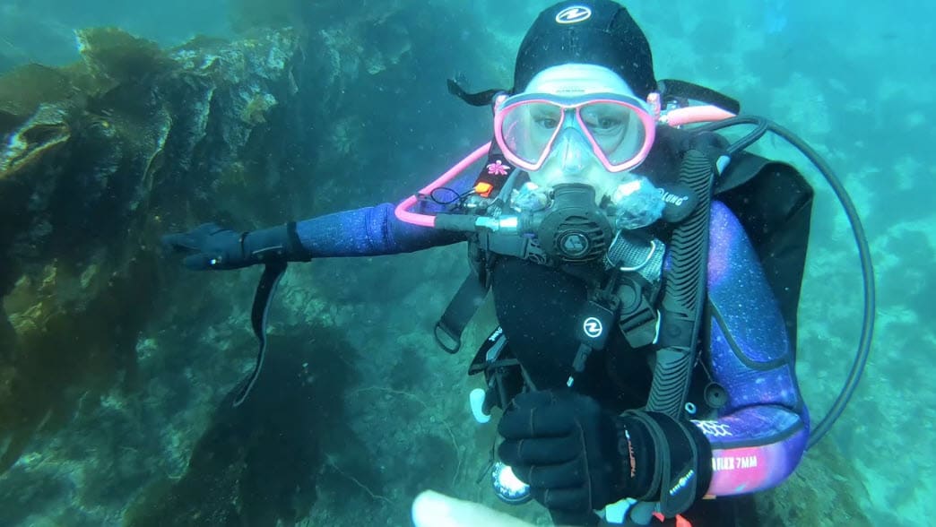 New Members Catalina Frontside Boat Trip (3Dives)