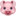 1f437.png