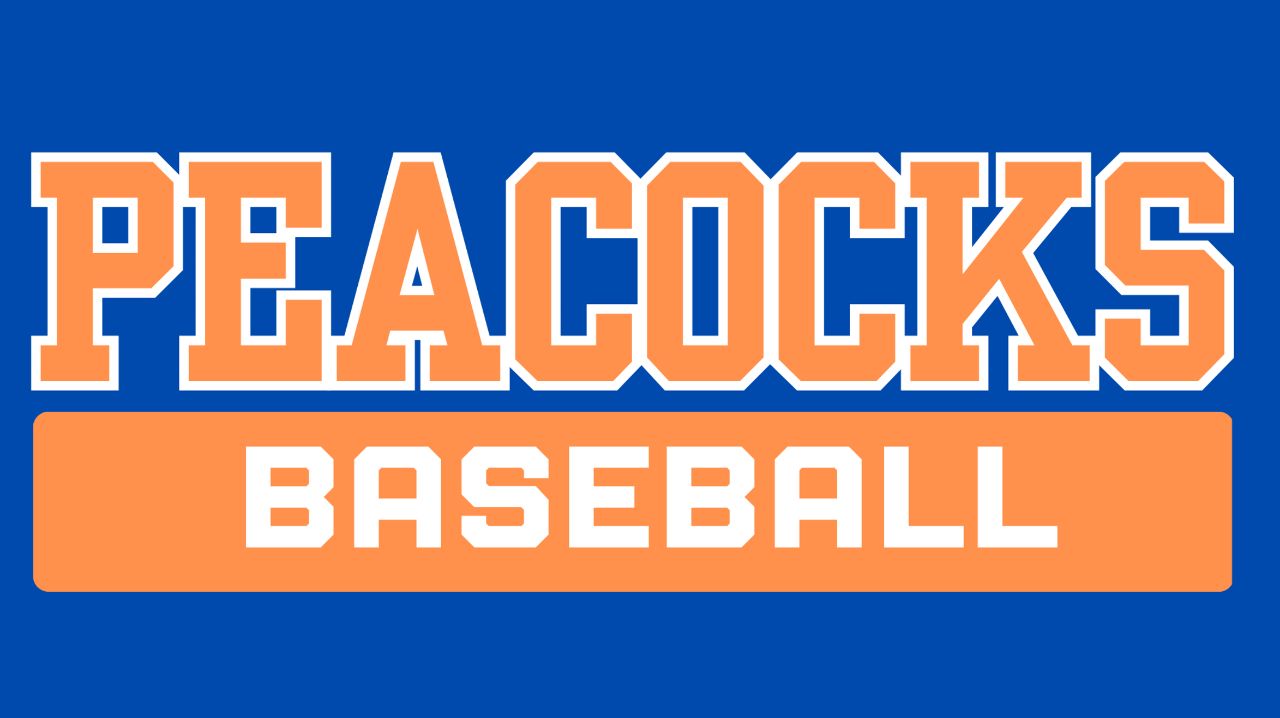 Peacocks baseball gun raffle