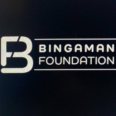 The Bingaman Foundation