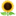 🌻