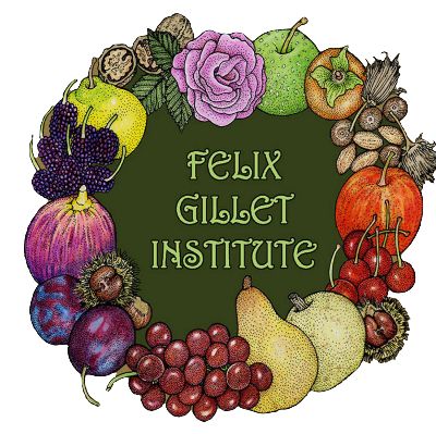 Felix Gillet Institute