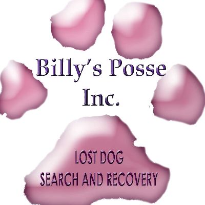 Billys Posse Inc