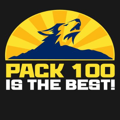 Cub Scout Pack 100