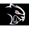 Chicago Hellcats Football and Cheer