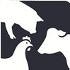 Association Québécoise des Agronomes en Zootechnie (AQAZ)