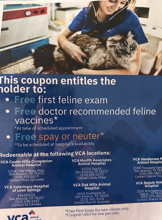 San Antonio Owner Surrender Near Me Cocktails Culture Alamo City