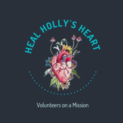 Heal Holly's Heart