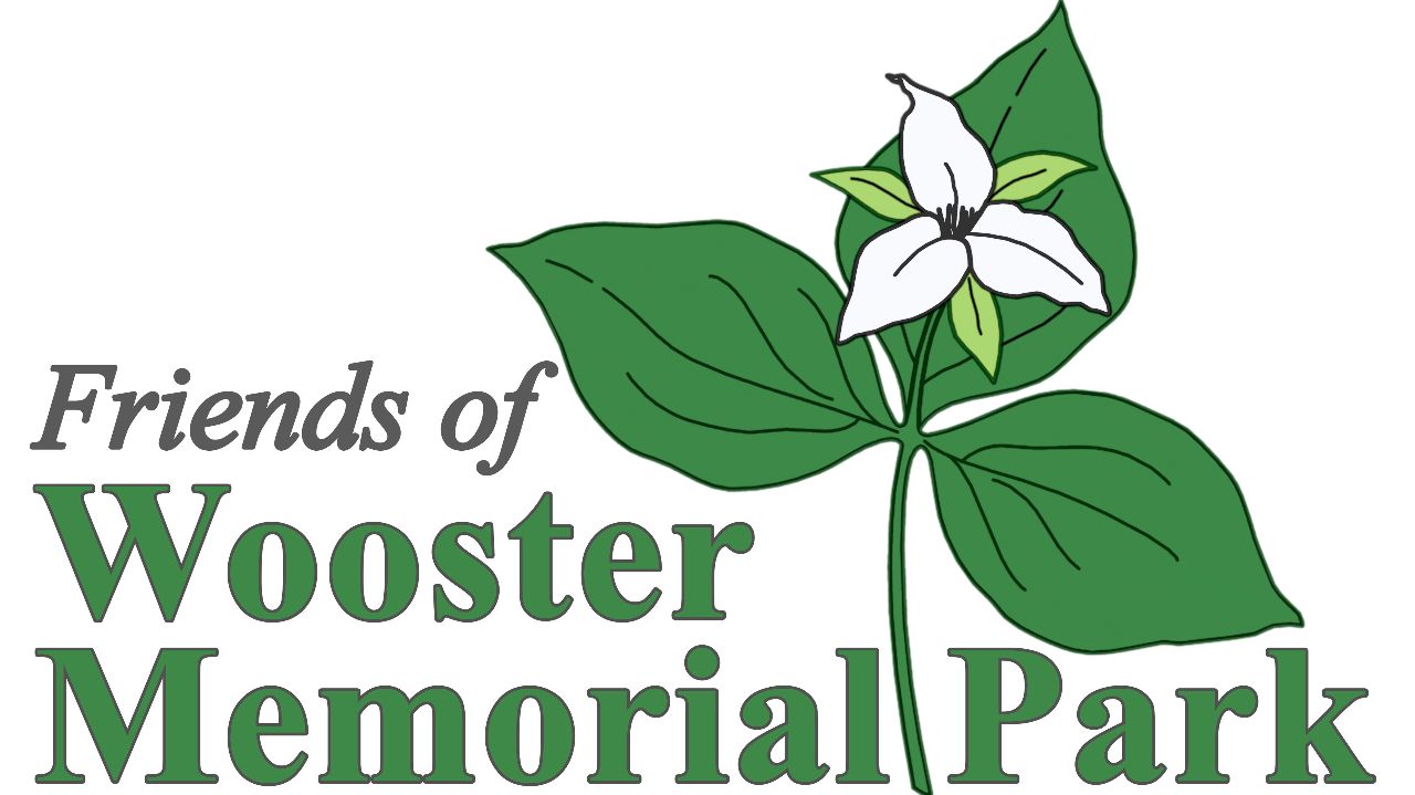 Donating to 'Friends of Wooster Memorial Park'