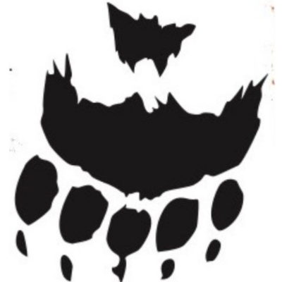 Kicking Bear Foundation