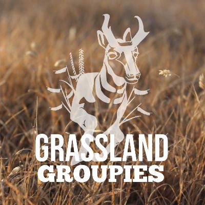 Grassland Groupies Inc