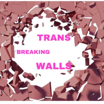 Trans Breaking Walls