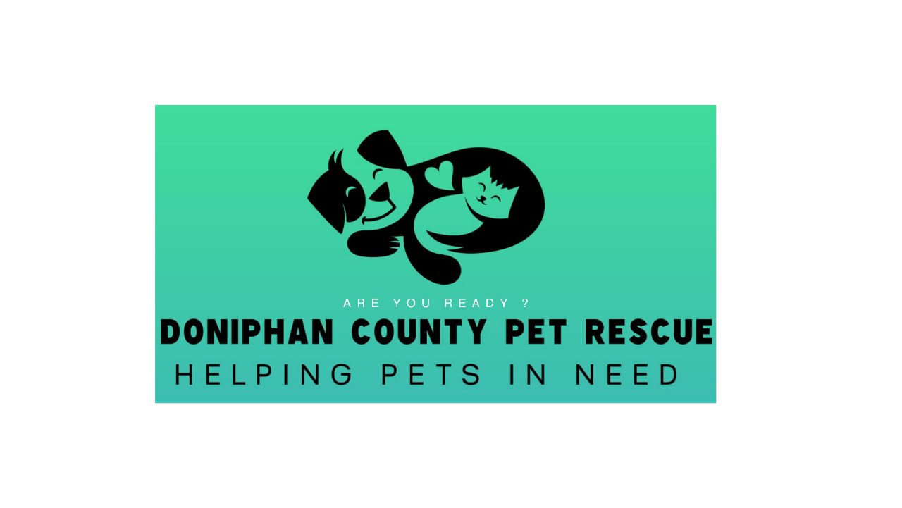 Donate to make a difference. Saving one pet at a time.