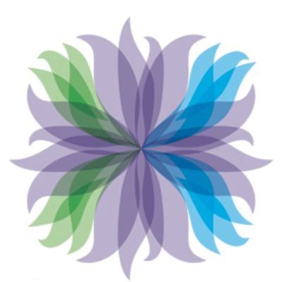 Women's Healthy Environments Network