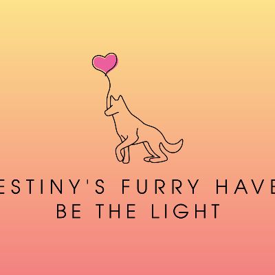 Destiny’s furry haven