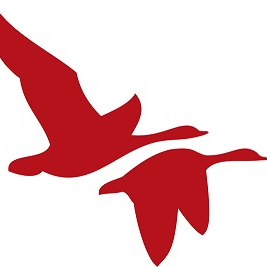 Arctic Slope Community Foundation