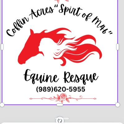 COFFIN ACRES SPIRIT OF M46 EQUINE RESCUE