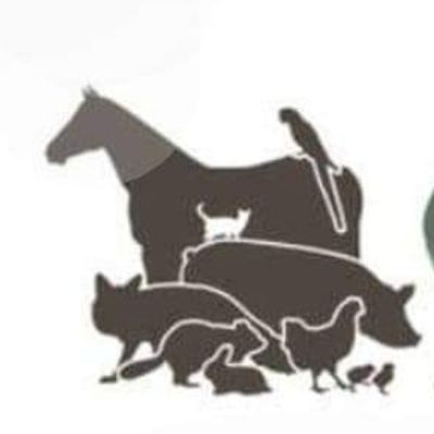 ODESSA ANIMAL SANCTUARY INC