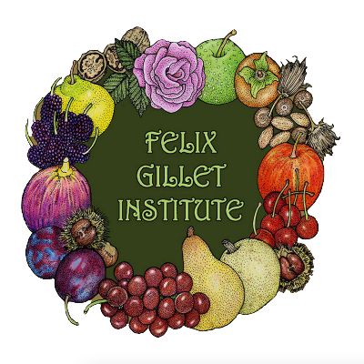 Felix Gillet Institute