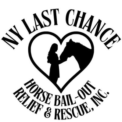 Rainbow Daisies Horse Rescue - Previously NY Last Chance Horse Relief & Rescue, Inc